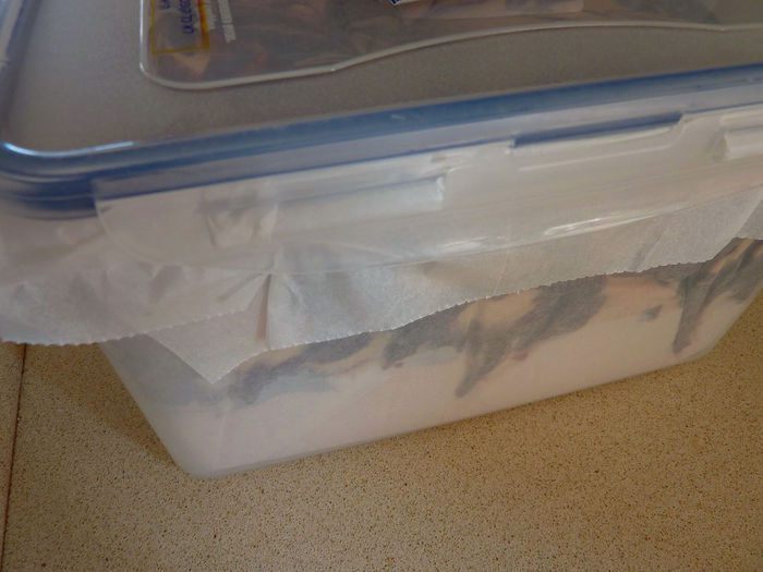 Семифредо шоколадно-арахисовое