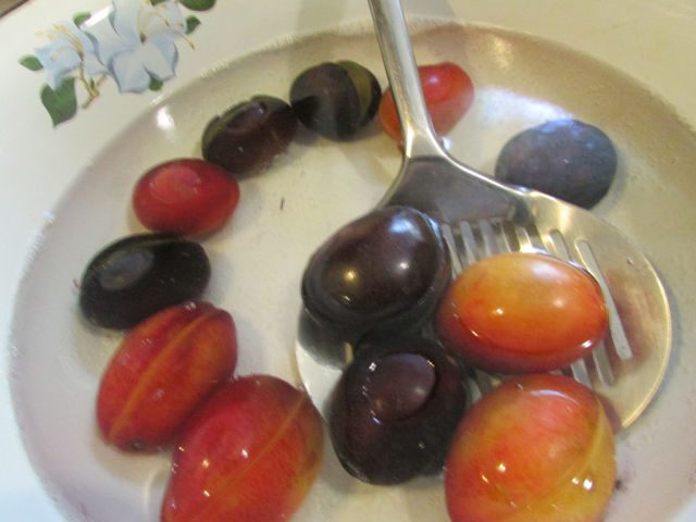 Краснокочанная капуста, консервированная со сливами