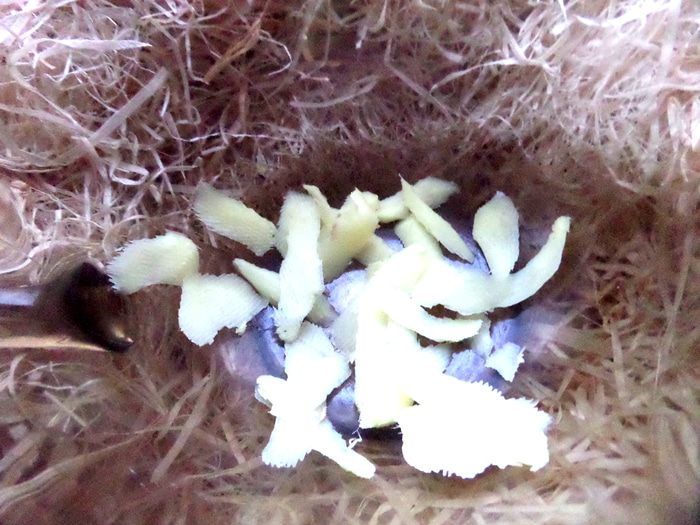 Согревающий чай со специями