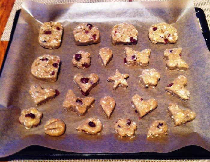 Клюквенное печенье с белым шоколадом (для Патриковой Дарьи)