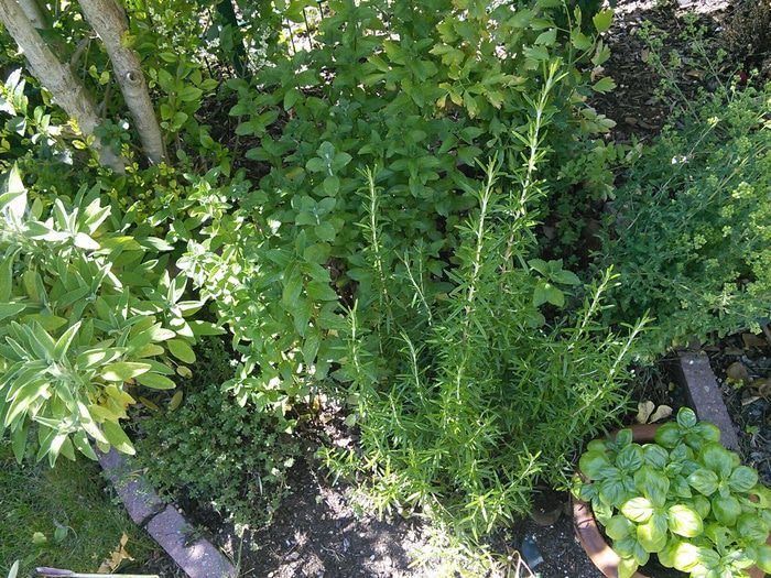 Ароматное масло