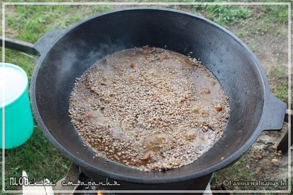 Плов, или попытка объять необъятное &amp;quot;ПЛОВские старания&amp;quot;