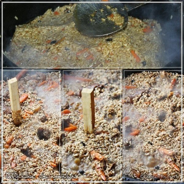 Плов, или попытка объять необъятное &amp;quot;ПЛОВские старания&amp;quot;