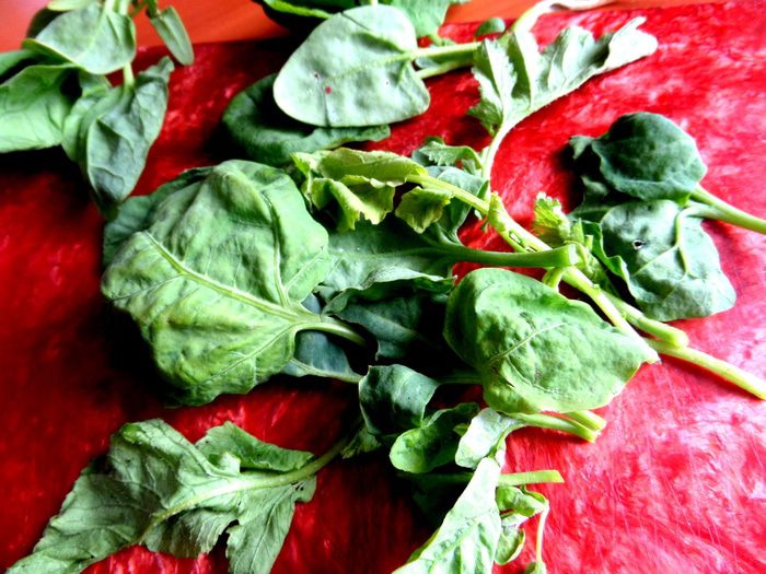 Закуска &amp;quot;Редиска на творожке&amp;quot;