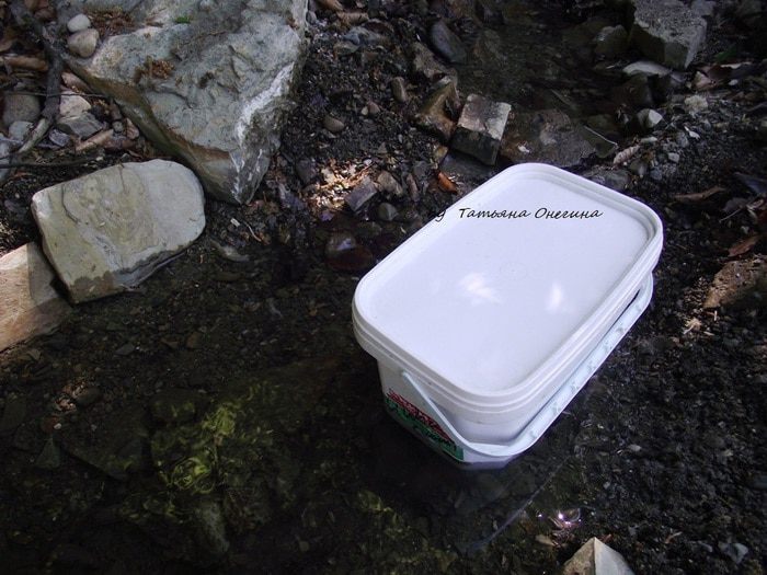 Шашлык из свинины с водкой