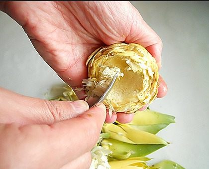 Артишоки по-гречески