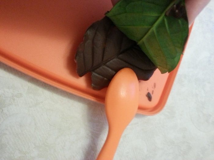 Фруктовое тирамису для детей