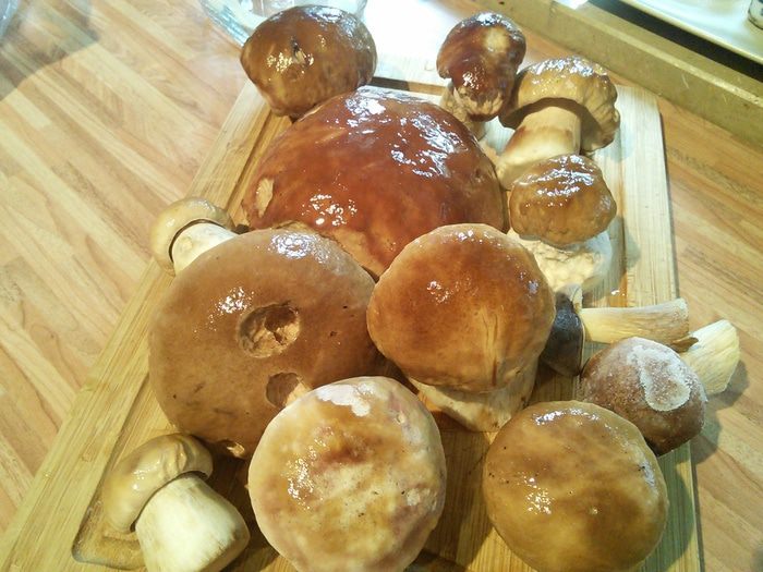 Маринованные грибы: белые, моховики 