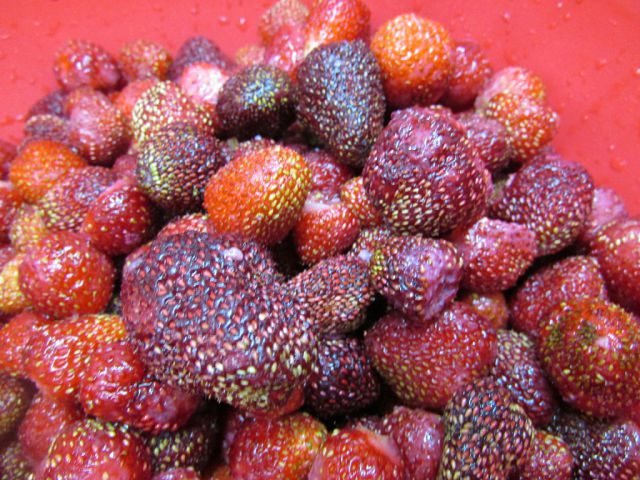 Свежая клубника с сахаром (заготовка на зиму)