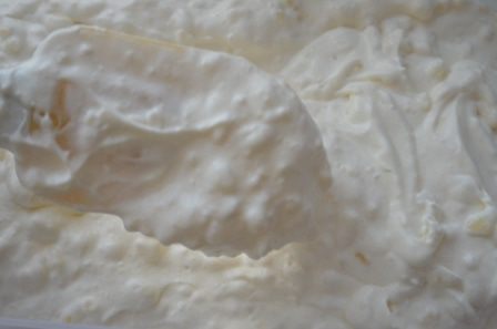 Потрясающе вкусное рисовое мороженое (без яиц)