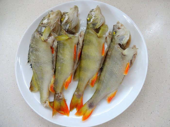 Уха из речных окуней