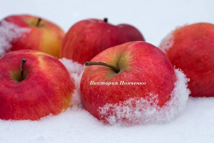 Яблочная гранола