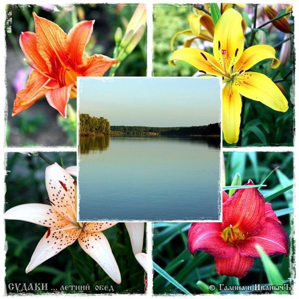 Судак «Летний обед»