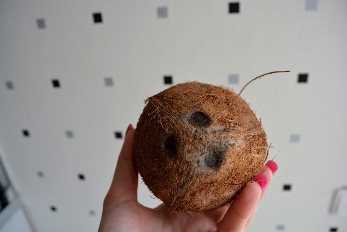 Фруктовый салат с кокосовым соусом