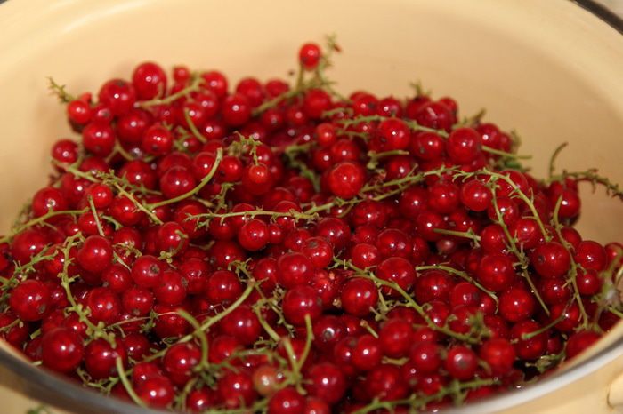 Желе из красной смородины