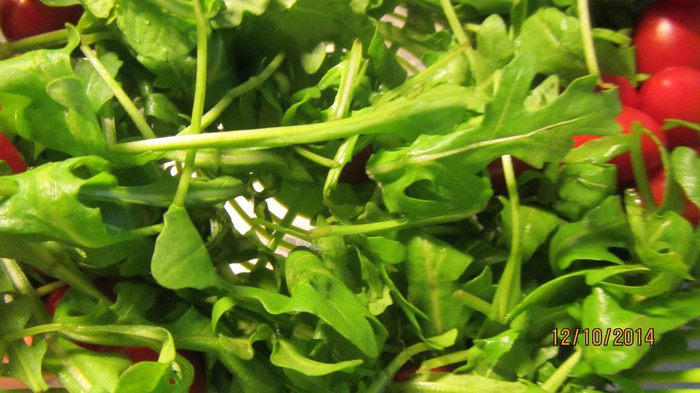 Салат из креветок с горчичной заправкой