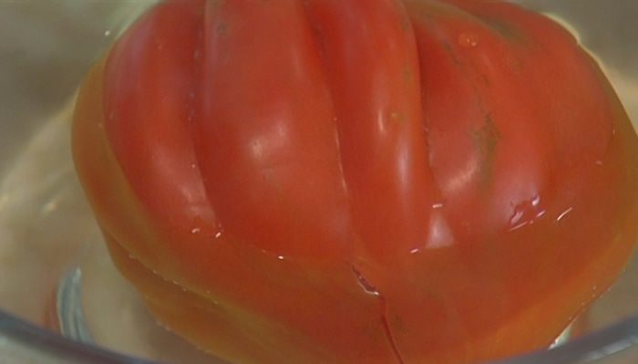 Салат из помидоров с нектаринами и базиликом 