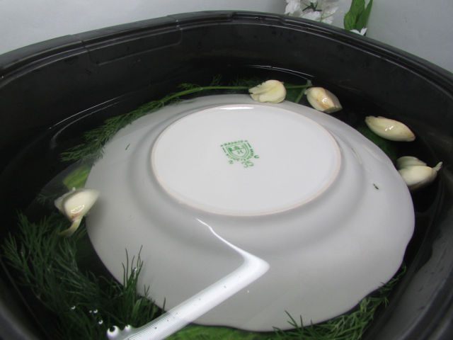 Малосольные огурчики в минеральной воде