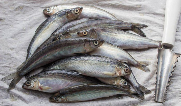 Ряпушка жареная