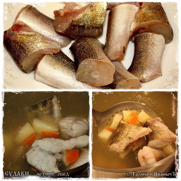 Судак «Летний обед»