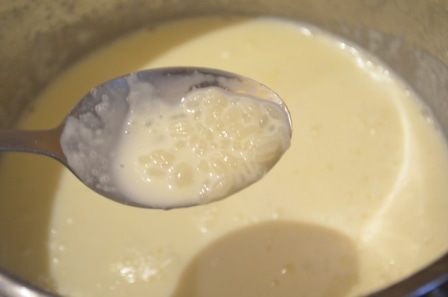 Потрясающе вкусное рисовое мороженое (без яиц)