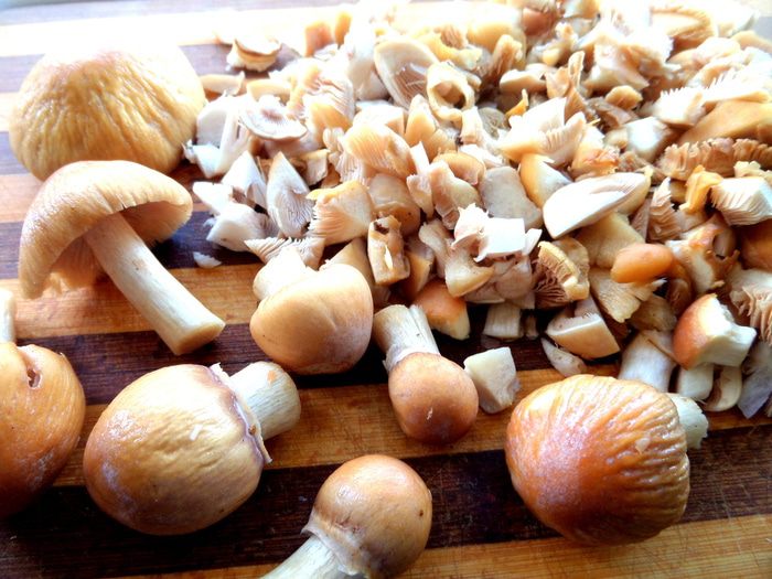 Пирог с грибами (из лаваша)