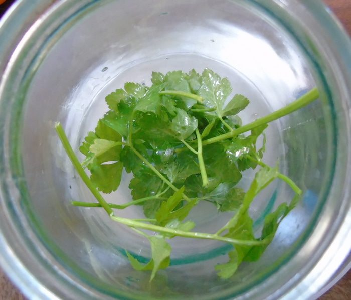 Чесночно-базиликовые черри