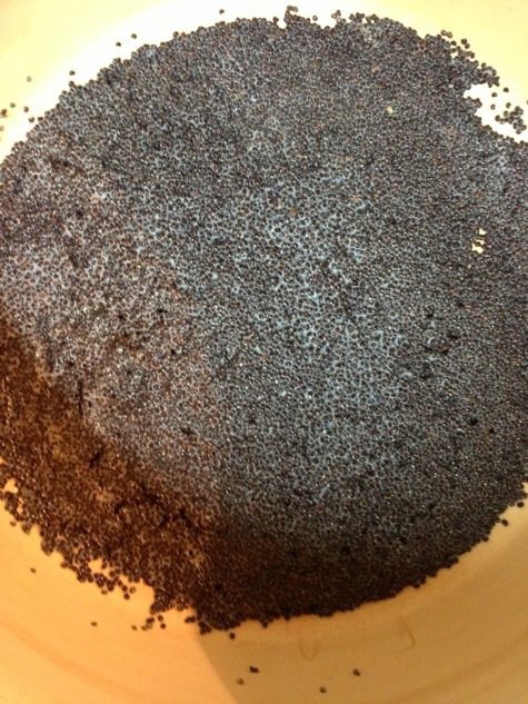 Маковый десерт под соусом из кураги