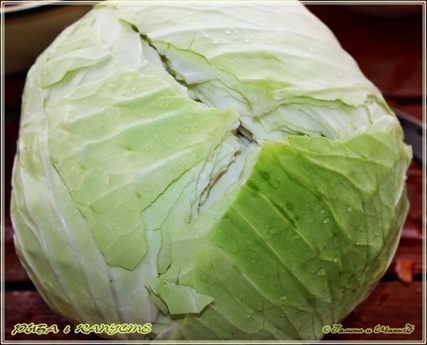 Рыба в капусте