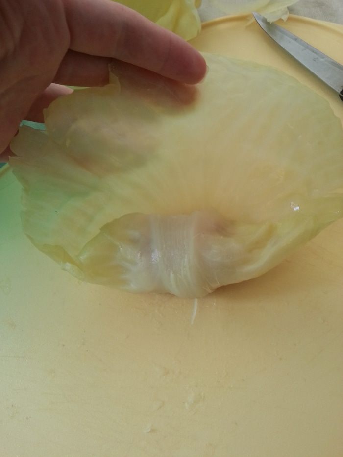 Обычные голубцы + хороший способ подготовки капустных листьев