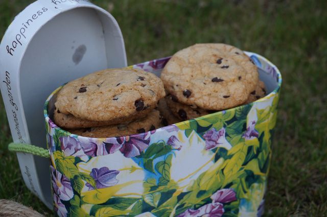 Классическое американское печенье с шоколадом