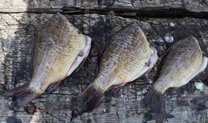 Золотой карась жареный