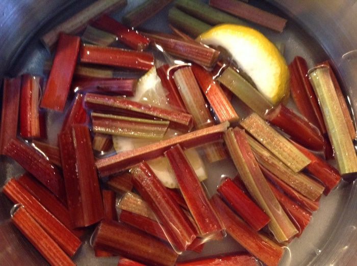 Концентрат лимонада из ревеня