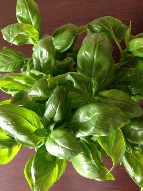 Базиликовый курд