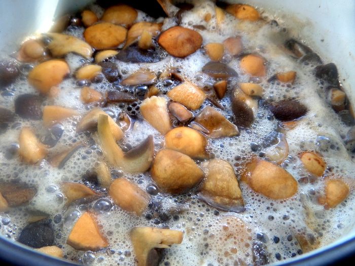 Пирог &amp;quot;Грибная поляна&amp;quot;