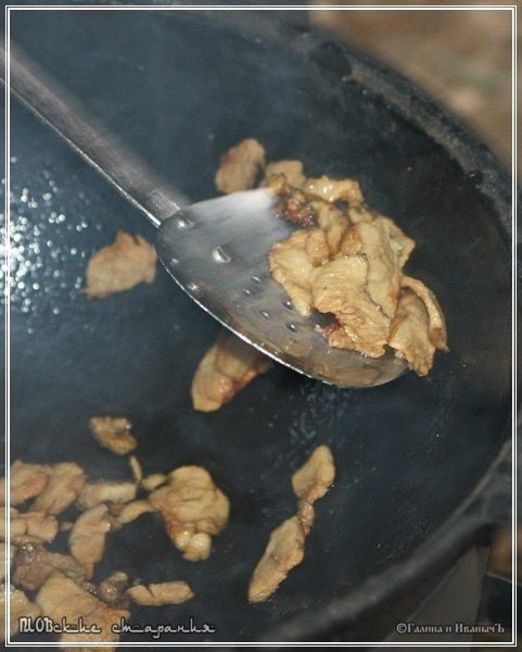 Плов, или попытка объять необъятное &amp;quot;ПЛОВские старания&amp;quot;