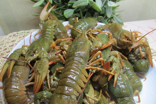 Раки вареные