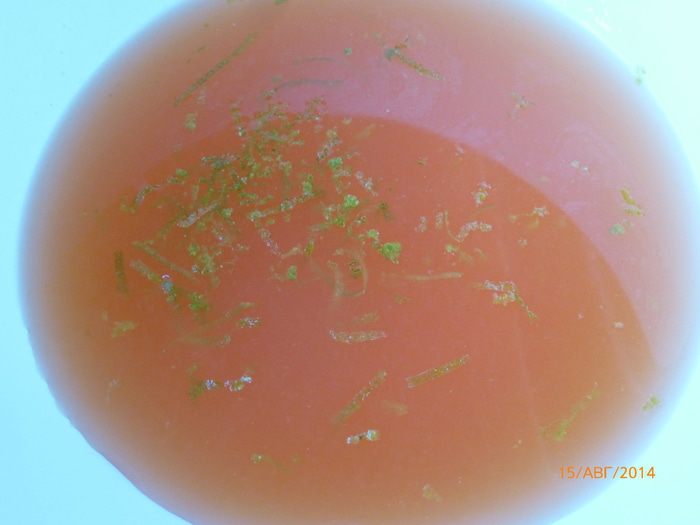 Сорбе из цитрусовых