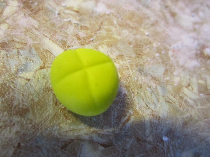 Маки из мастики МК.