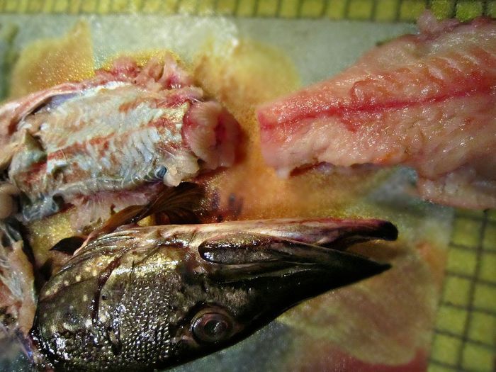 Праздничная фаршированная щука &amp;quot;По щучьему веленью&amp;quot;