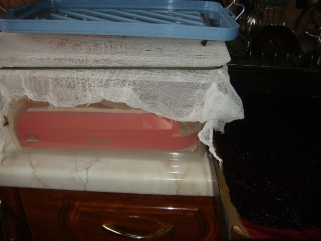 Пастила из смородины 