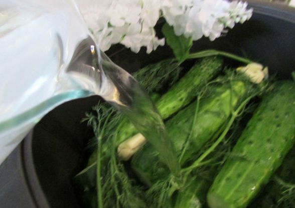 Малосольные огурчики в минеральной воде