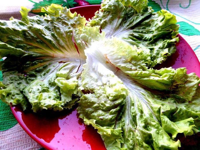 Салат &amp;quot;Два редиса&amp;quot;