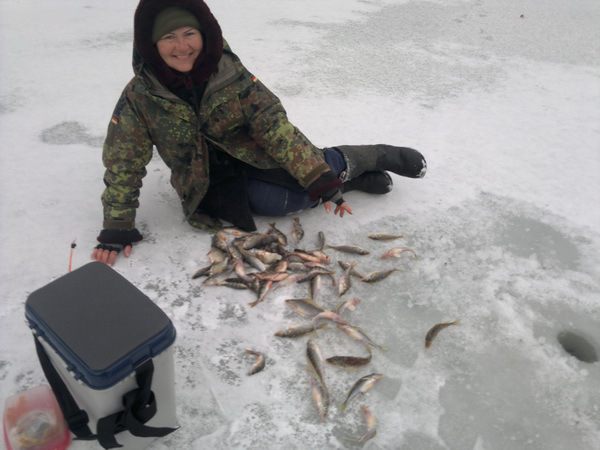 Жареный ерш-носарь