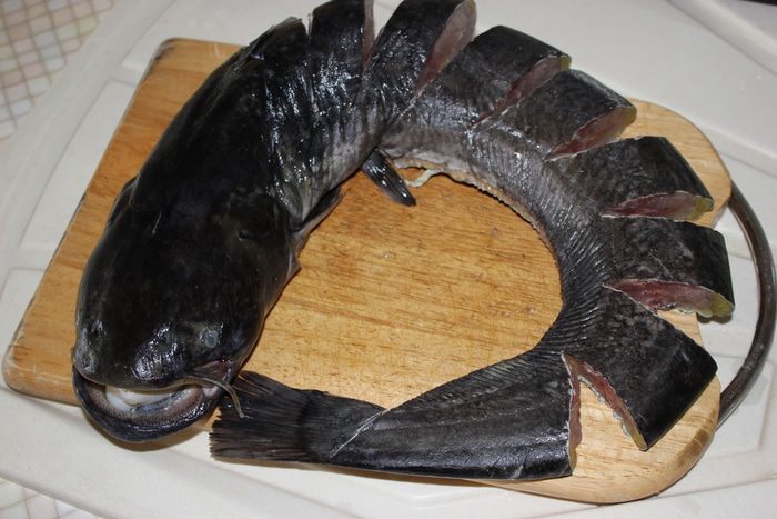 Праздничный сом