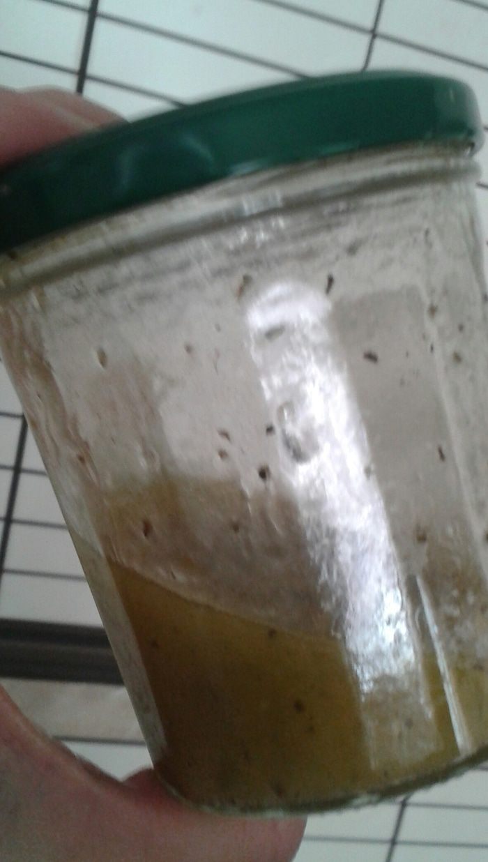 Теплый салат из тыквы с красным луком и фасолью