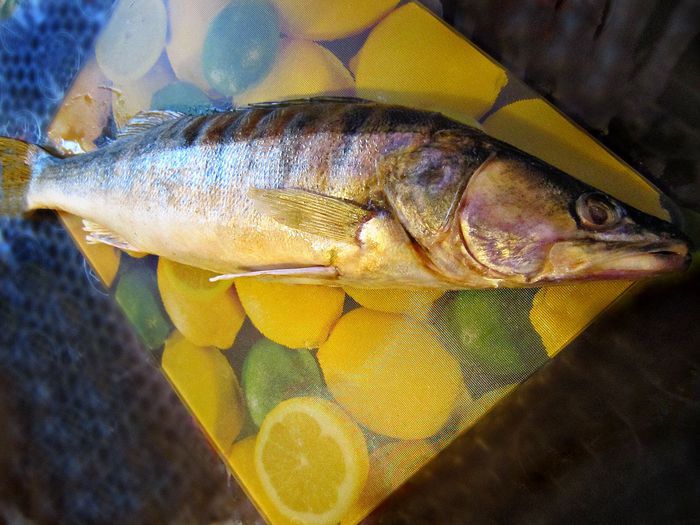 Судак под кремовой &amp;quot;шубкой&amp;quot;