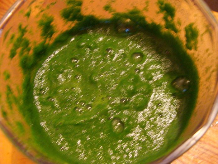 Домашняя зеленая лазанья 