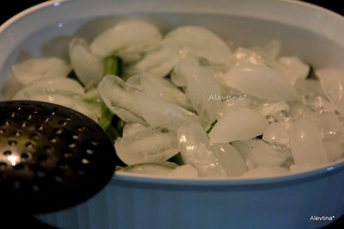 Зеленая фасоль с морковью и луком в духовке