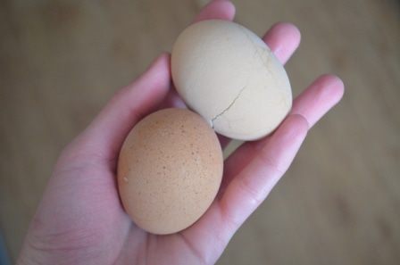 Плетенка с капустой, яйцом и красным луком